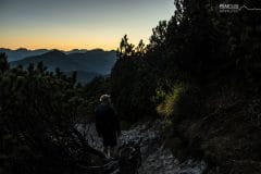 Abstieg vom Herzogstand Abstieg vom Herzogstand