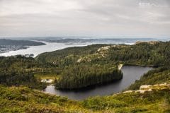 Bergens fjellstrekninger auf unserem Roadtrip durch Norwegen