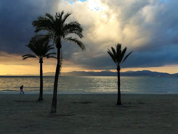 am Strand Strand vom Mallorca, Palmen, Meer und der GR 221 im Hintergrund