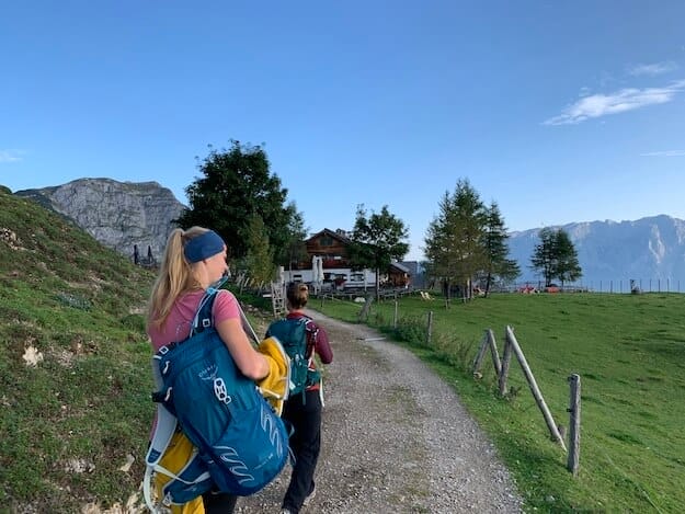 saftig grüne Bergwiesen an der Mitterfeldalm am Hochkönig